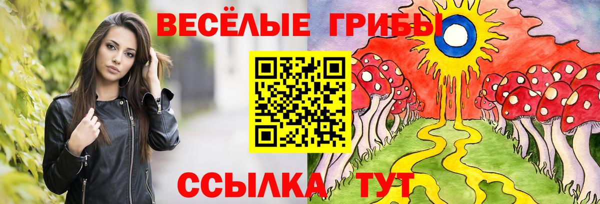 Галлюциногенные грибы Cubensis Мирный