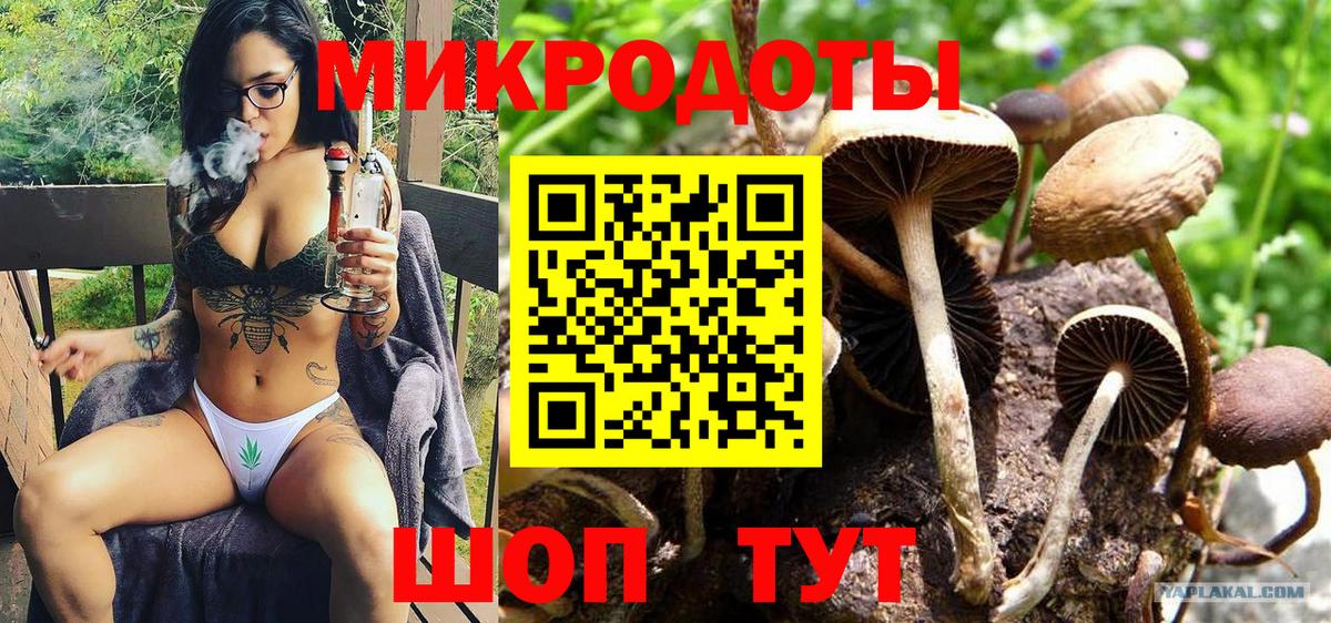 Псилоцибиновые грибы Psilocybe  Вход с VPN  Мирный 